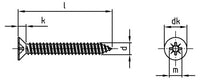 DIN 7982 - Surub autofiletant cap inecat cruce - 2,9 x 38 mm - 1000 buc.