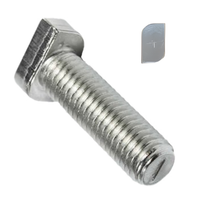 100x Kalapácsfejű csavar 10x25mm, alternatív DIN 933, H-profilhoz