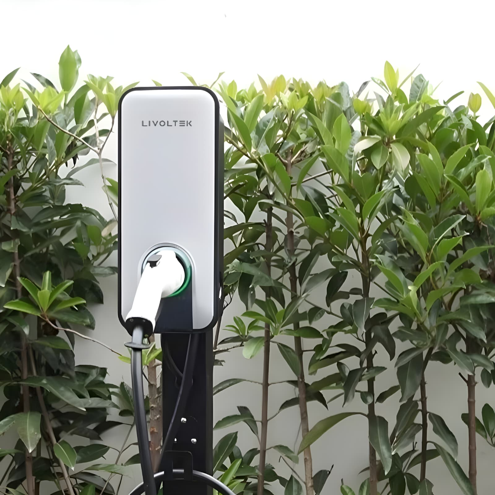 Livoltek 7,3 kW / 11 kW ATOM, Type 2 elektromos autó töltőállomás