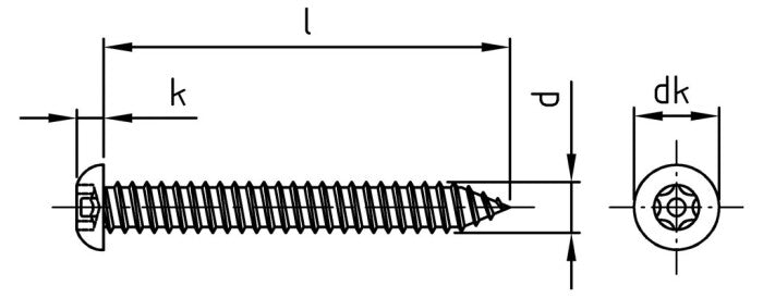 Gombafejű biztonsági csavar, csillag + pin - C 5,5 x 50 TX - PIN 27 mm - 100 db.