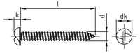 Egyirányú menetes biztonsági csavar lapos fejjel - C 5,5 x 16 mm - 100 db