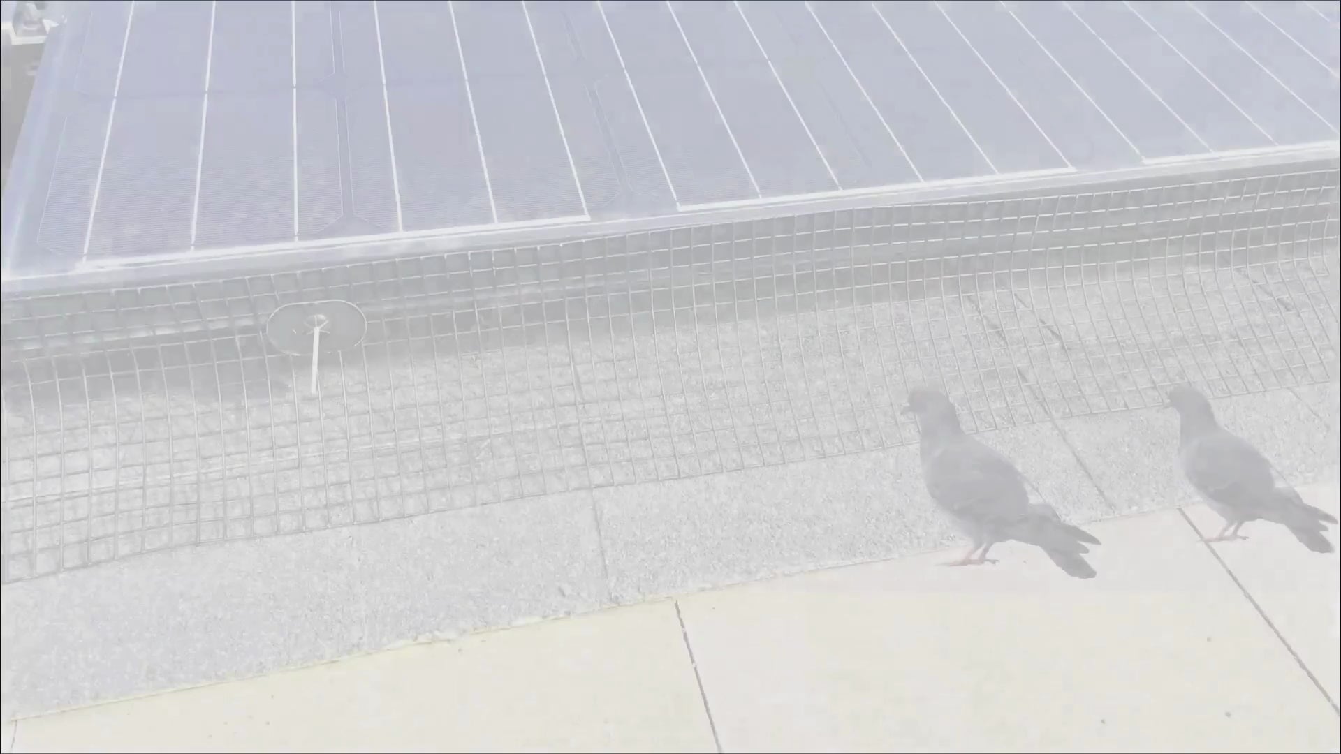 Plasa de protectie panouri fotovoltaice anti pasari, otel zincat 20cm L=30 m cu sistem de fixare inclus